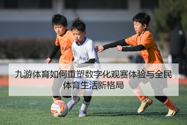 img_1777514894357_24_1_504.jpg